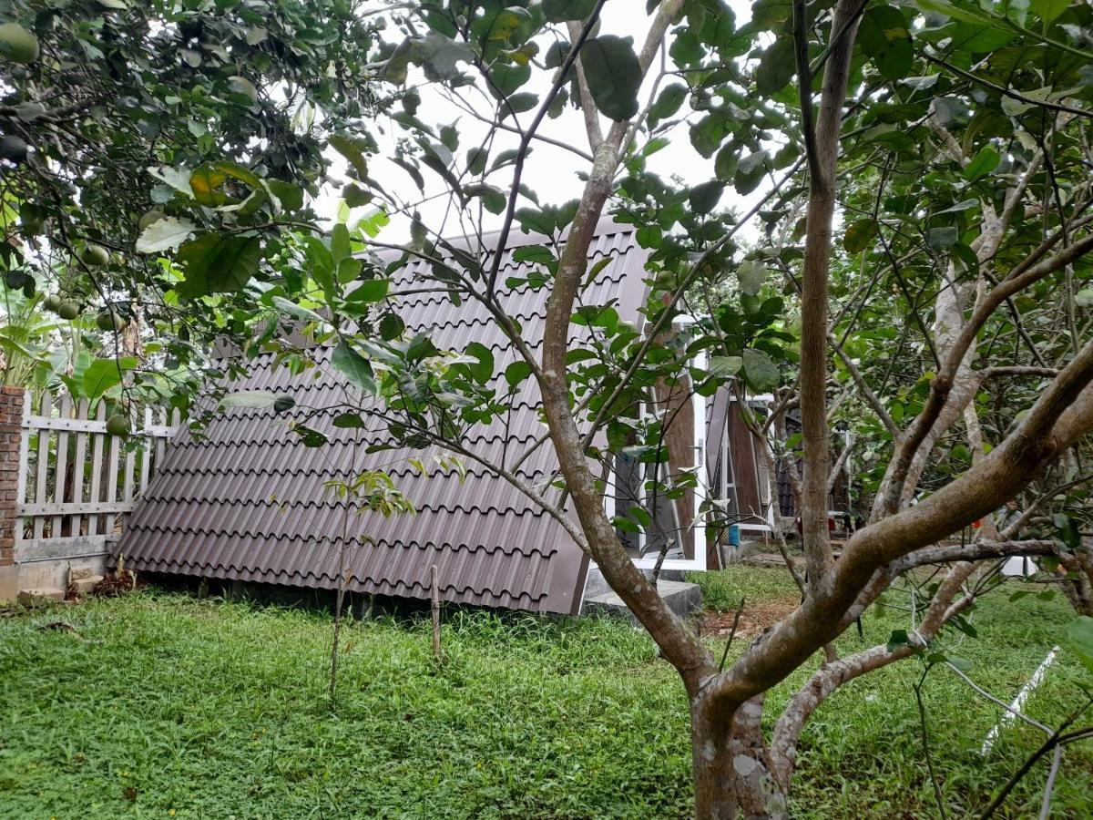 Tam Tinh Vien Homestay Hue Bagian luar foto