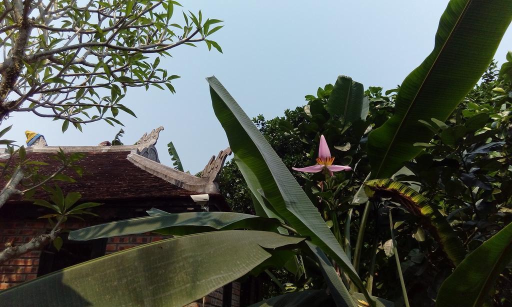 Tam Tinh Vien Homestay Hue Bagian luar foto
