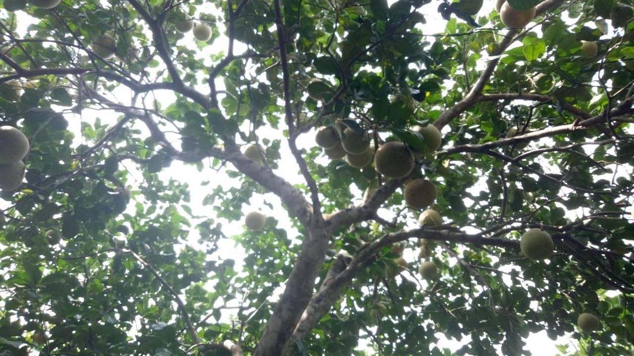 Tam Tinh Vien Homestay Hue Bagian luar foto